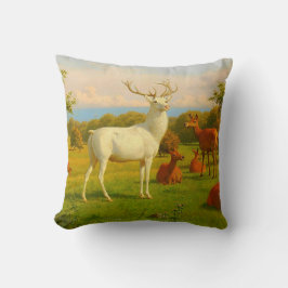 Almofada Cervo Veado Branco Campo Aberto Natureza Vida Selv