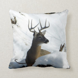 Almofada Cervos de Whitetail no travesseiro da neve