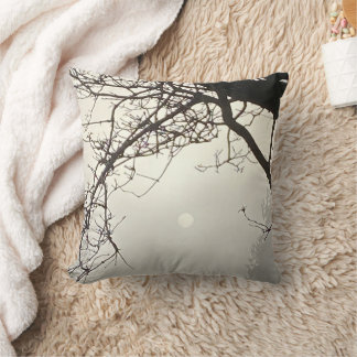 Almofada Céu Branco E Sol Dramaticamente Enquadrados Por Ár