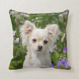 Almofada Chantilly Chihuahua - Foto do cachorro -