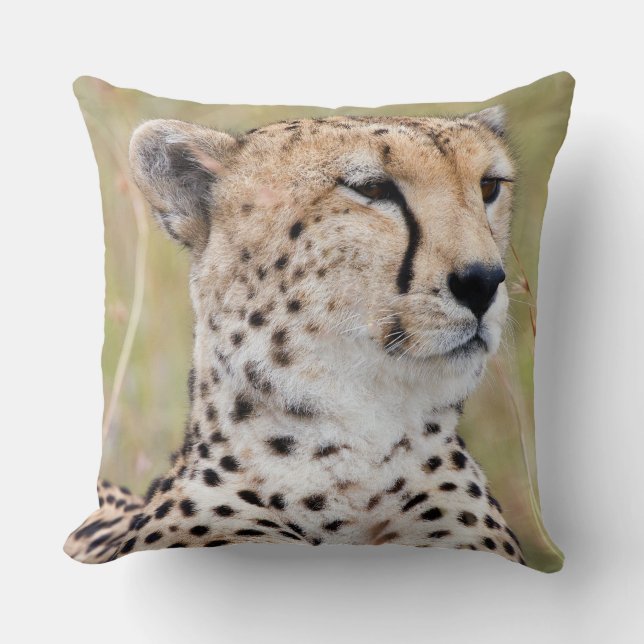 Almofada Cheetah (Frente)