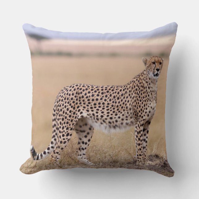 Almofada Cheetah (Frente)