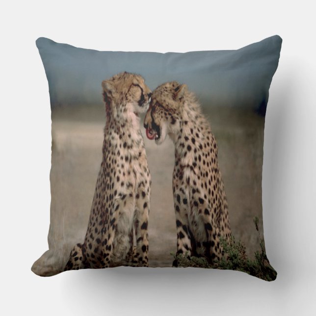 Almofada Cheetah Love (Frente)