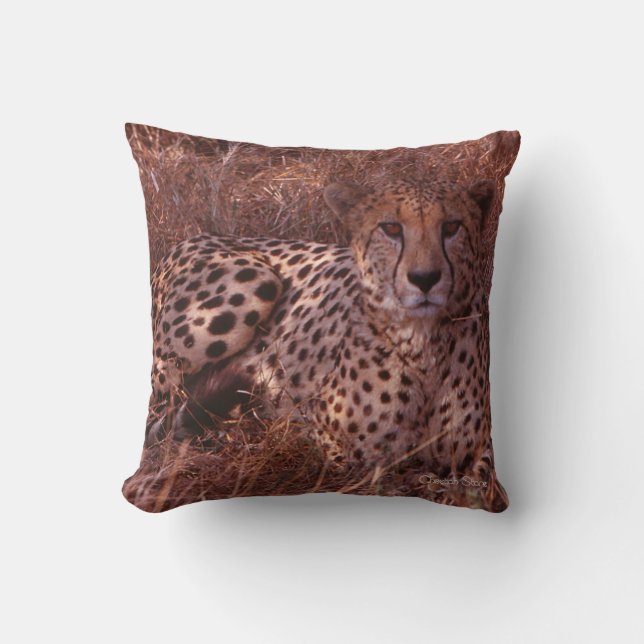 Almofada Cheetah Stare (Frente)
