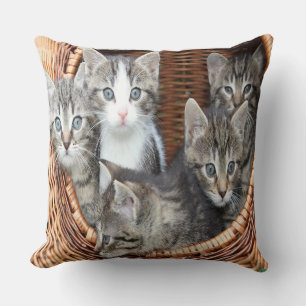 Almofada Cheio da cesta dos gatinhos