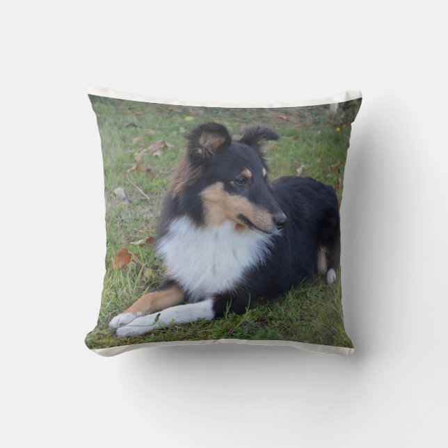 Almofada cheio de colocação tan do branco preto da SHP do (Frente)