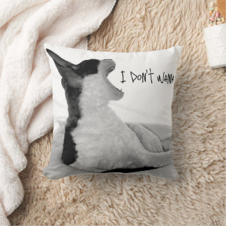 Almofada "Chewy sez..." Não quero.