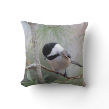 chickadee Preto-tampado