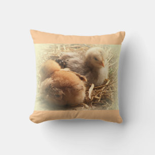 Almofada chickens chicks with feather