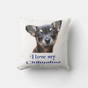 Almofada Chihuahua