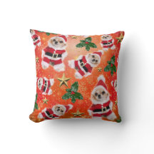 Chihuahua de Natal