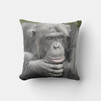Almofada Chimpanzé Contemplativo