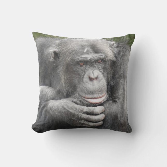 Almofada Chimpanzé Contemplativo (Frente)