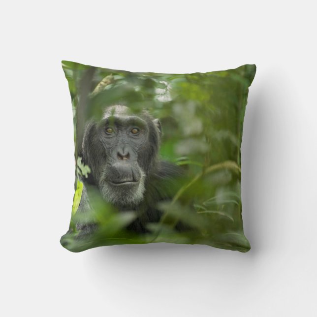 Almofada Chimpanzé Escondido Entre a Vegetação (Frente)