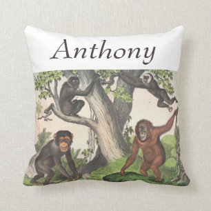 Almofada Chimpanzé Mackey Vintage impressão