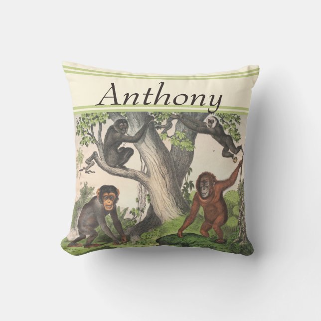 Almofada Chimpanzé Mackey Vintage impressão (Frente)