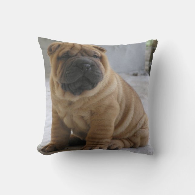 Almofada CHiNESE ShAR PEi (Frente)