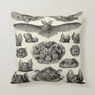 Almofada Chiroptera de Haeckel