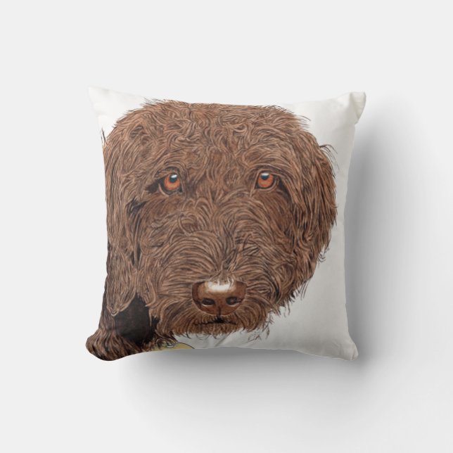 Almofada Chocolate Labradoodle (Frente)