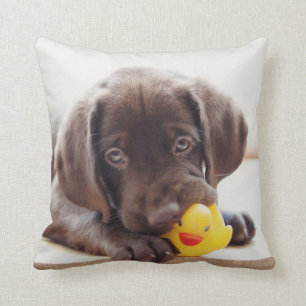 Almofada Chocolate Labrador Com Pato De Brinquedo