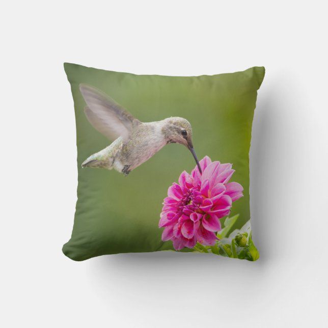 Almofada Cinza Hummingbird Linda Flor Rosa (Frente)