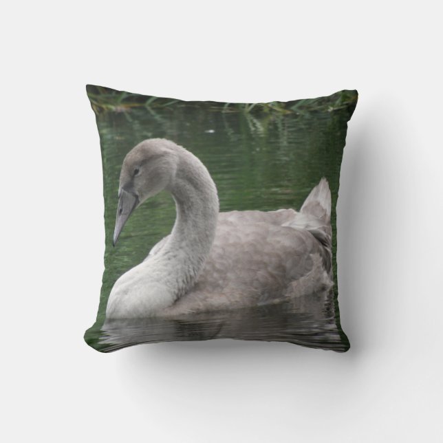 Almofada Cisne Gracioso no Travesseiro de Água (Frente)