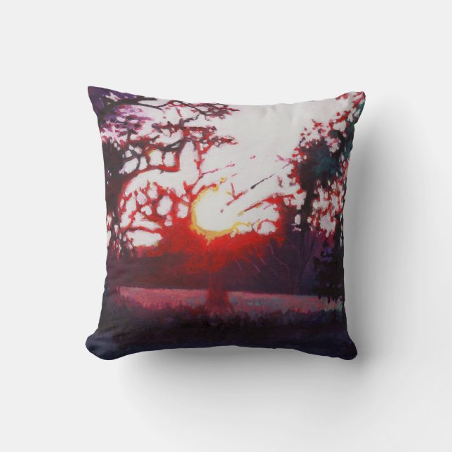 Almofada Claro aterrando 2013 (Frente)