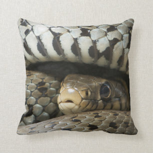 Almofada Cobra