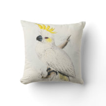 cockatoo enxofre-com crista de #13-Lesser