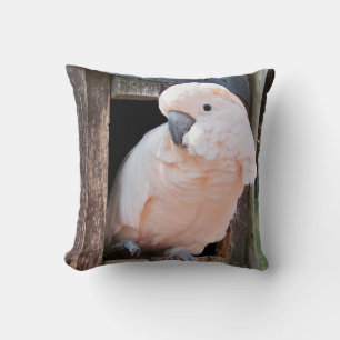 Almofada Cockatoo molucano