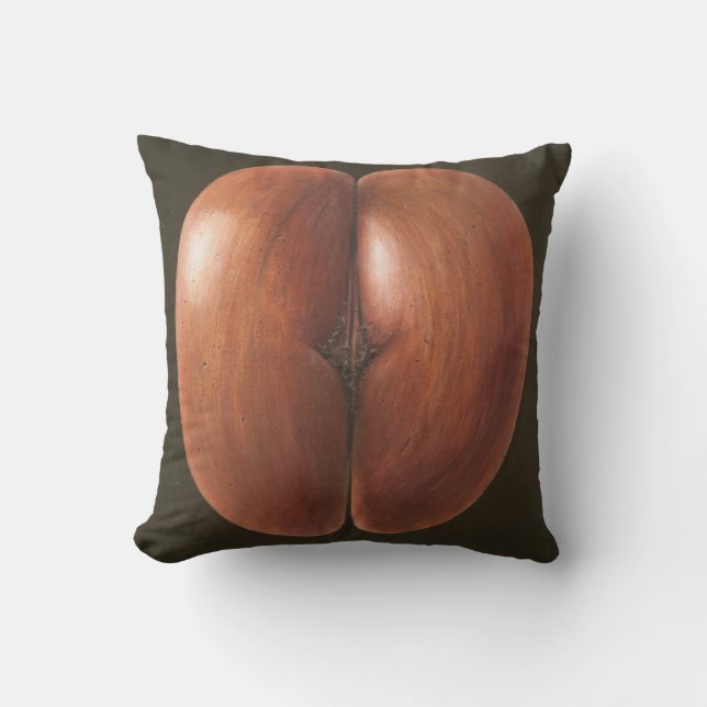 Almofada Coco de Mer Maldives 2012 (Frente)