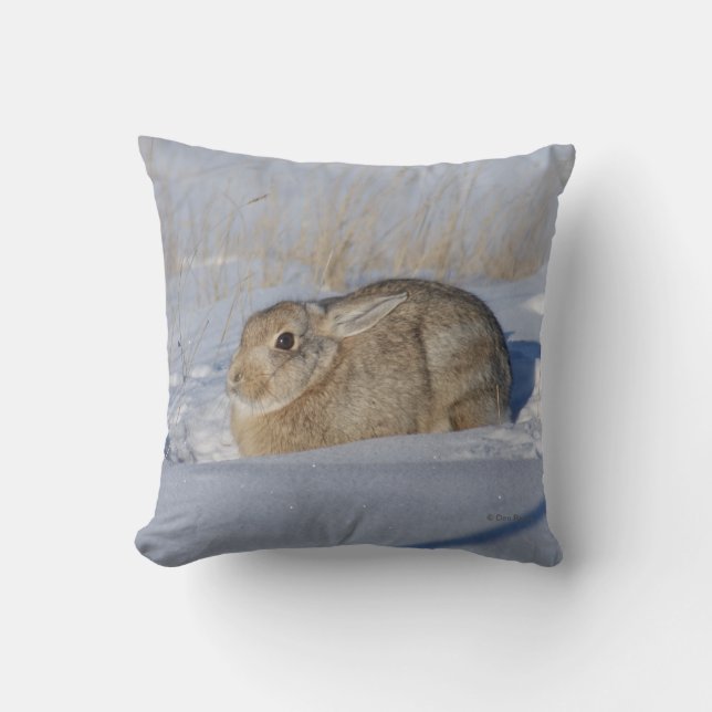 Almofada Coelho Cottontail R5 na Neve (Frente)