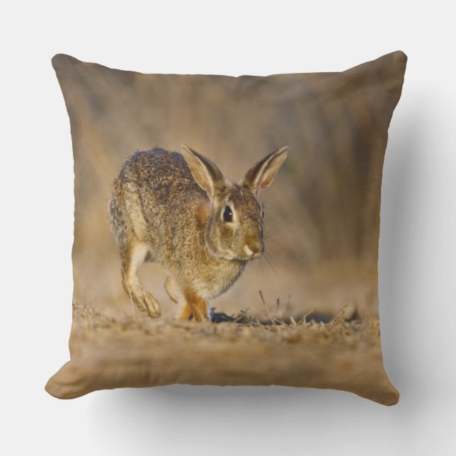 Almofada coelho da cottontail oriental saltando (Frente)