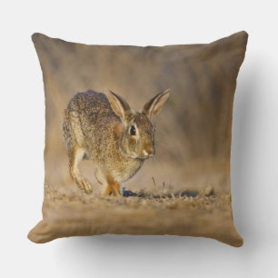 Almofada coelho da cottontail oriental saltando