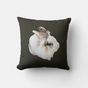 Almofada Coelho Lionhead Tri-Color