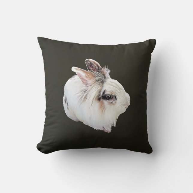 Almofada Coelho Lionhead Tri-Color (Frente)