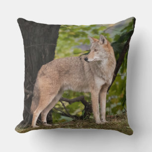Almofada Coisa Bonita do Coyote