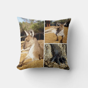 Almofada Colagem de Três Imagens Kangaroo, Cushion