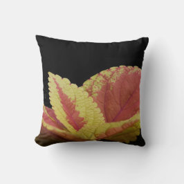 Almofada Coleus Leaves