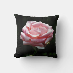 Almofada Colheita Rosa Rosa Rosa Rosa Rosa