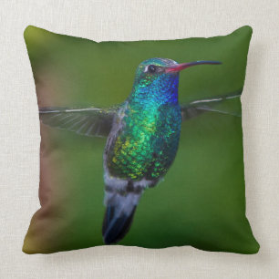 Almofada Colibri de flutuação