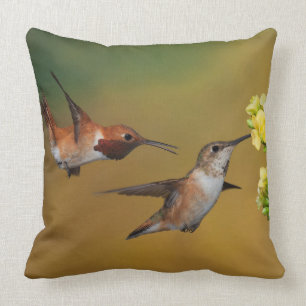 Almofada Colibri Rufous de flutuação