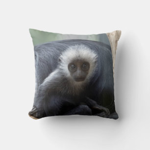 Almofada Colobus polykomos