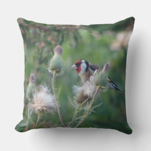 Almofada Colorida Goldfinch sobre o Travesseiro decorativo