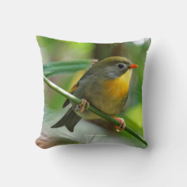 Almofada Colorida Leiothrix Pekin Robin Songbird