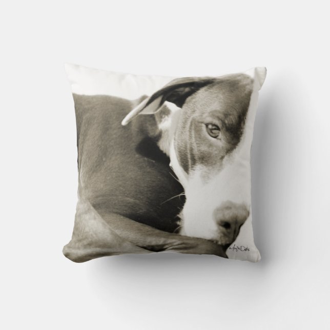 almofada com fotografia sépia de pit bull sonolent (Frente)