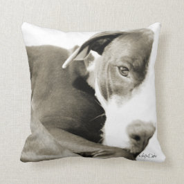 almofada com fotografia sépia de pit bull sonolent