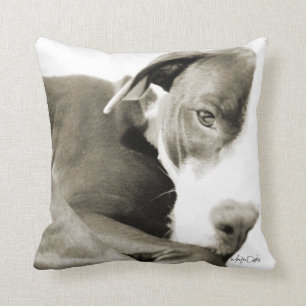 almofada com fotografia sépia de pit bull sonolent