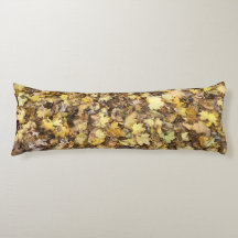 Coleção de Folhas Amarelas do outono