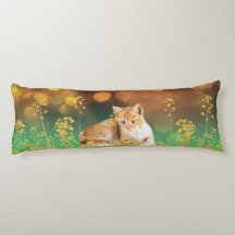 Corpo do Gatinho amarelo